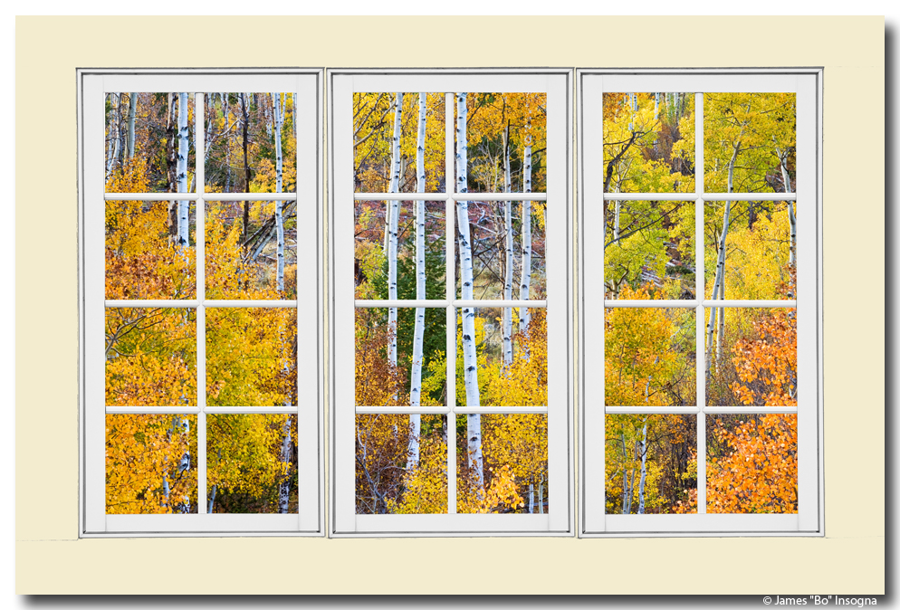 Aspen Tree Magic Cottonwood Pass White Rustic Window Art 24x36x1.25  Premium Canvas Gallery Wrap - Window Frame Art, Pictures That Look Like  Window Views, Whitewash Windows